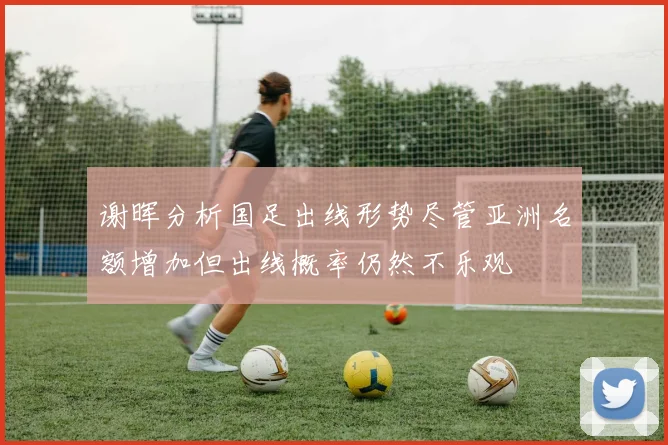 谢晖分析国足出线形势尽管亚洲名额增加但出线概率仍然不乐观
