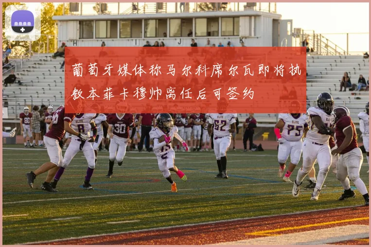 葡萄牙媒体称马尔科席尔瓦即将执教本菲卡穆帅离任后可签约