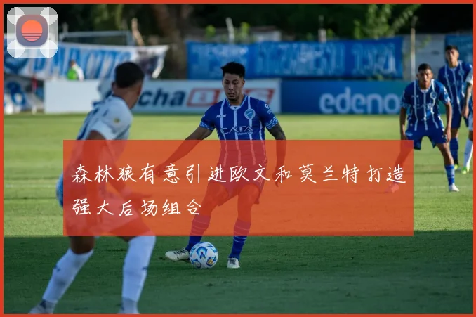 森林狼有意引进欧文和莫兰特打造强大后场组合