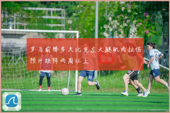 罗马前锋多夫比克左大腿肌肉拉伤预计缺阵两周以上